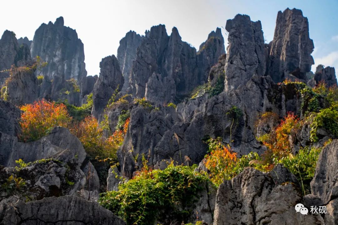 周游西南随记（六）弥蒙的万峰林