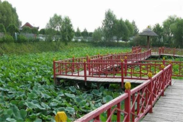 鸡西10大最好玩的地方，兴凯湖和珍宝岛均上榜，你玩过了吗？