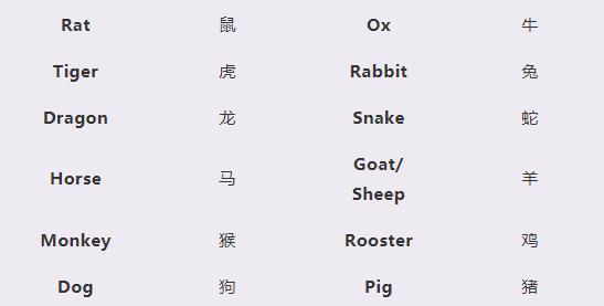 mouse和rat老鼠有什么区别,鼠年rat和mouse哪个好