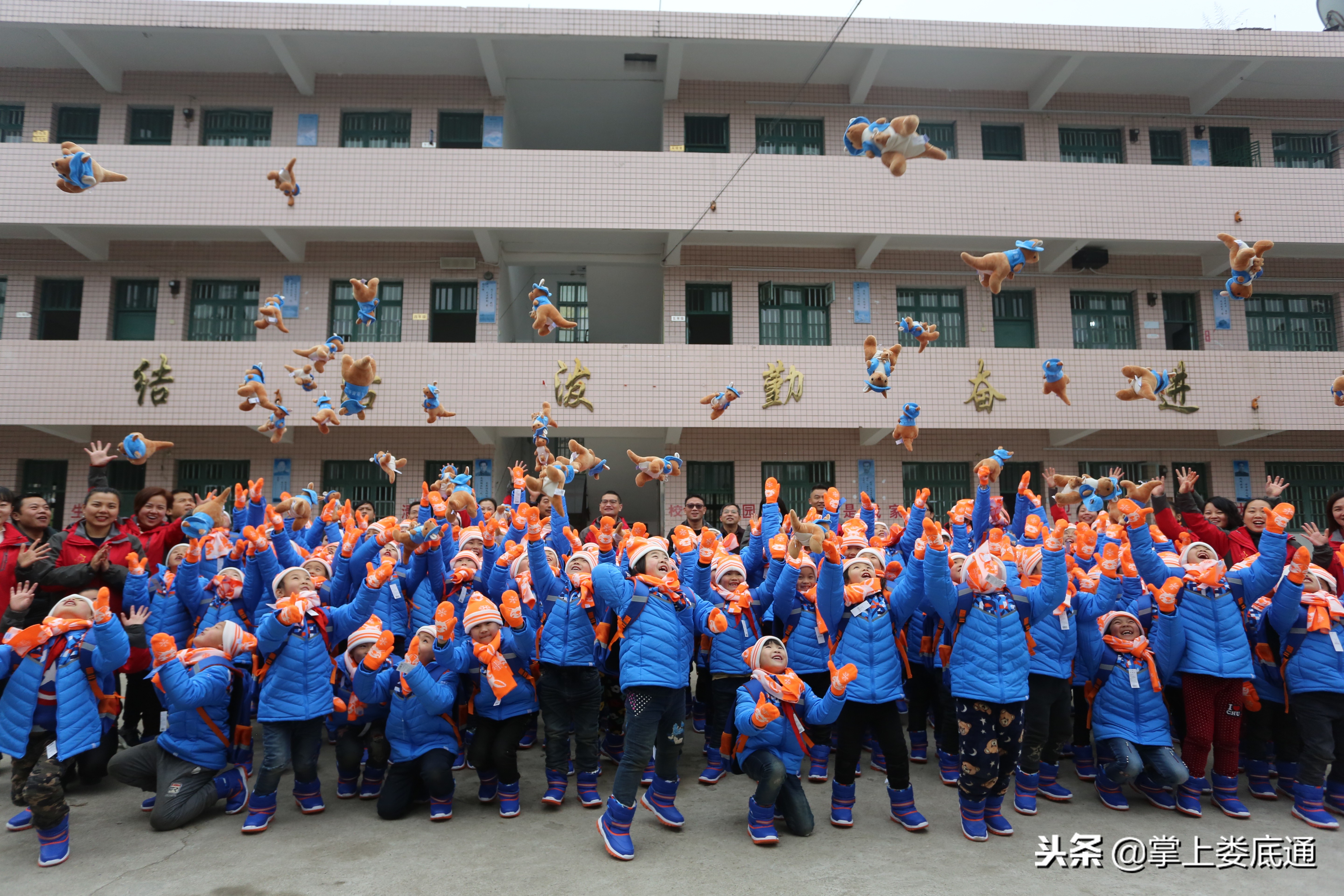 壹基金捐赠阳光比例,壹基金公益活动