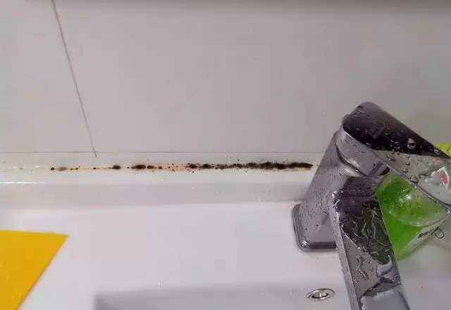 不发黑发霉的玻璃胶,水槽玻璃胶发黑发霉怎么办