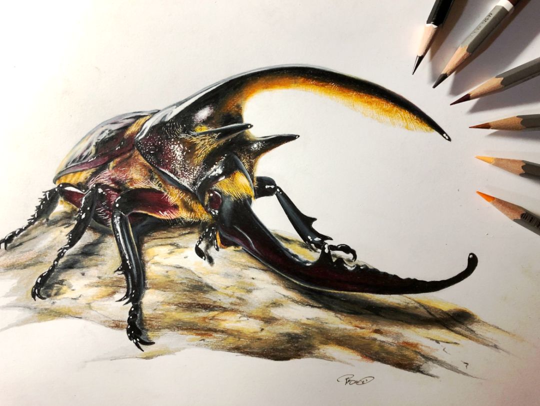 失明女孩铅笔画,手绘眼睛流泪铅笔画