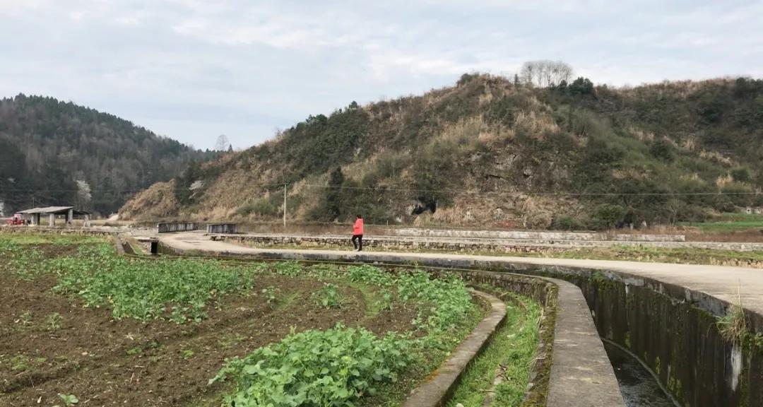 讲个笑话，我29岁了，但还是每一次离家都会哭