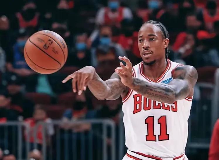 波波维奇诺维茨基夺冠,波波维奇一代宗师