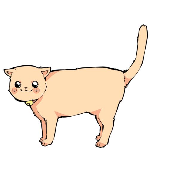 猫咪尾巴竖起来是什么意思,猫咪尾巴各种姿态含义