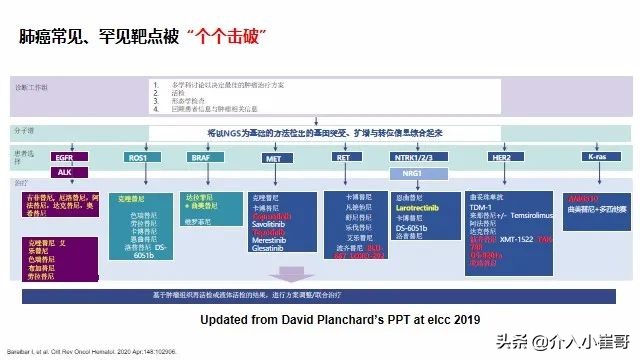 肺癌罕见基因治疗进展,肺癌只有基因突变才能靶向治疗吗
