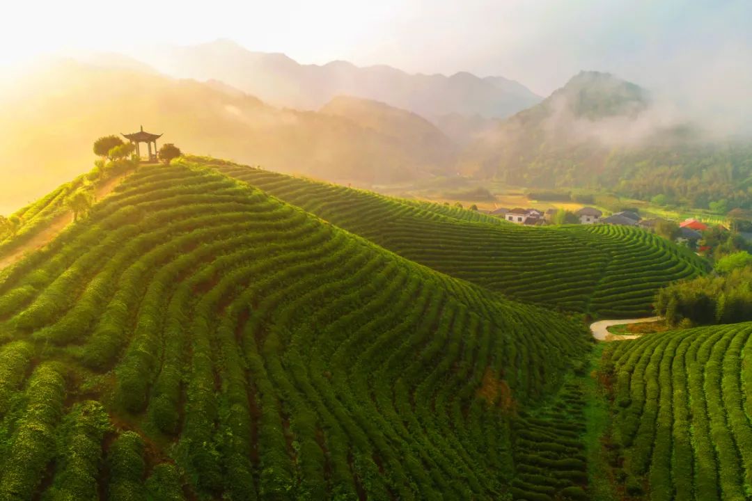 趣说｜范仲淹，一个被低估的经济学家