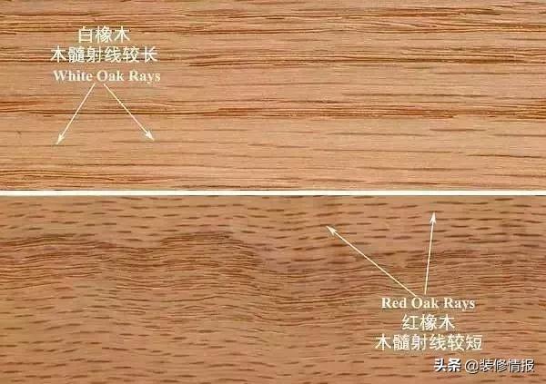 你会选哪一张床,当你累了会选择哪张床