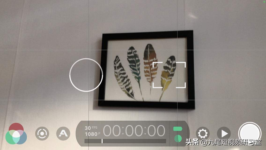 自学视频拍摄入门教程,零基础如何学会拍摄视频