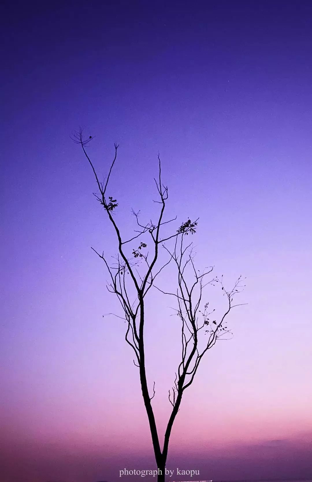 赞别人拍的照片,你用手机拍过哪些最美的照片