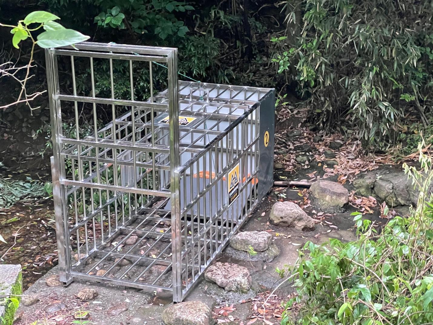 杭州金钱豹出逃最后一只找到了没,杭州金钱豹出逃最新视频