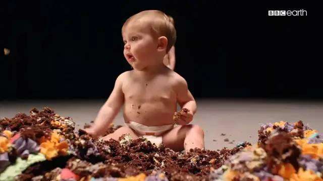 0-1岁婴幼儿养育知识听书,0-3岁宝宝养育全书