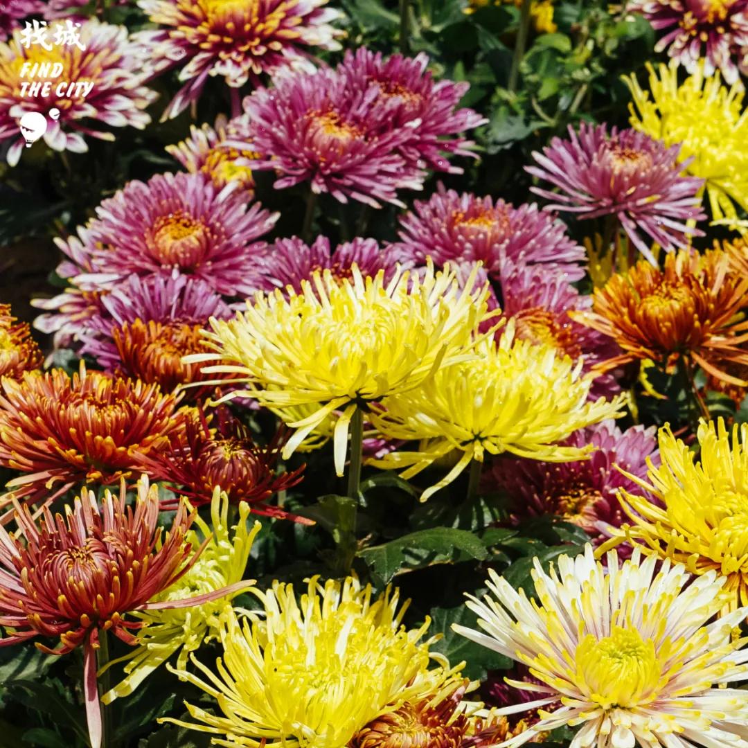 南宁拿货最便宜的市场,南宁最便宜的东西批发市场