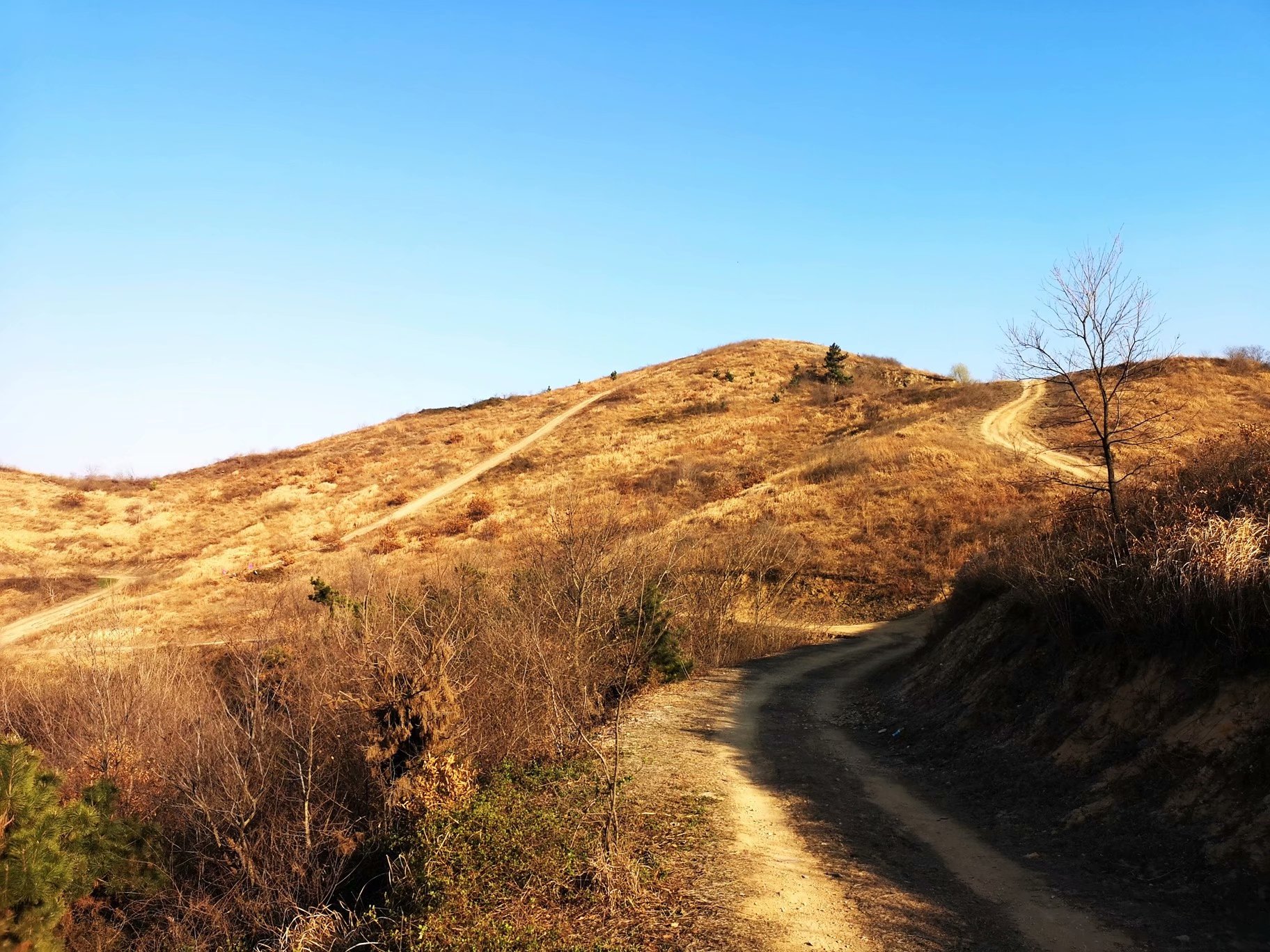 摩托周边旮旯游——探访蚌埠李楼鲁山寺遗址（上）