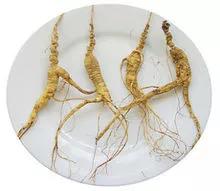 人参大补元气什么意思,人参补元气最佳方法