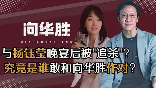 27年前,向华胜豪掷300万和杨钰莹共进晚餐,餐后却遭赖文峰毒打