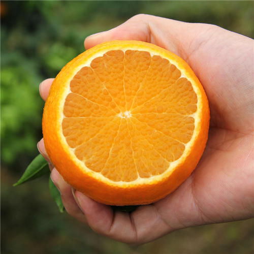 春天到了该吃的绿色食品,春季舌尖上的食物