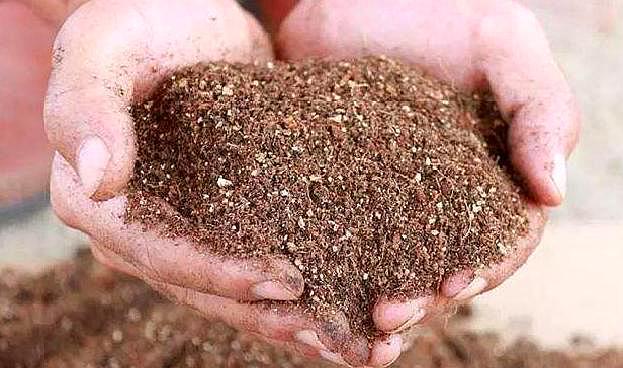 家中植物不开花用营养土可以吗,营养土哪种最好养