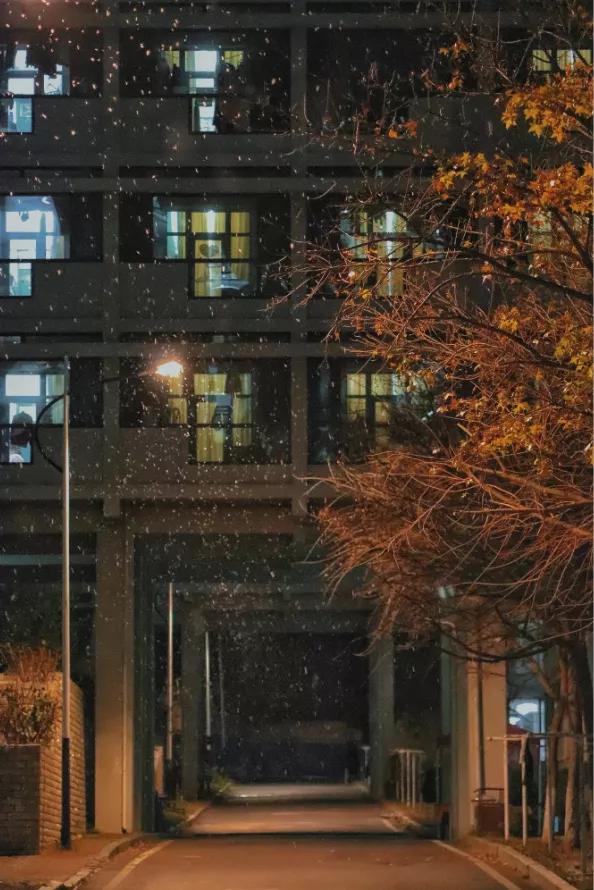 辽宁省高校(三十二)大连外国语大学