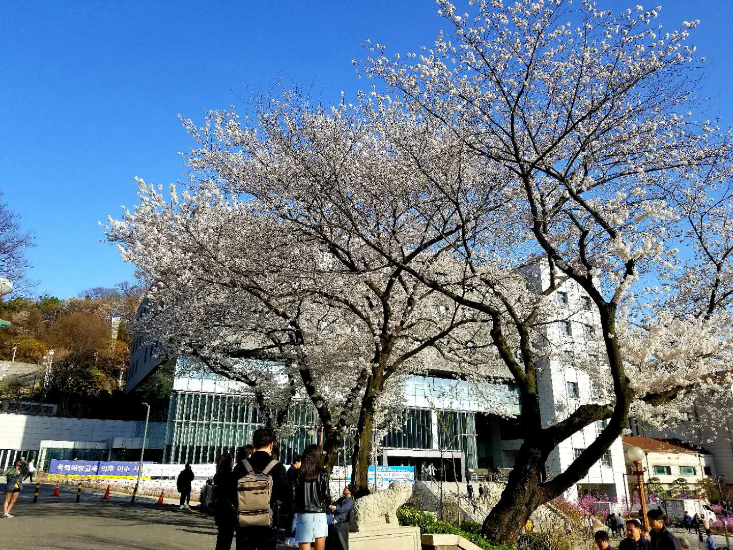 金吉列2019春季院校巡展之韩国延世大学