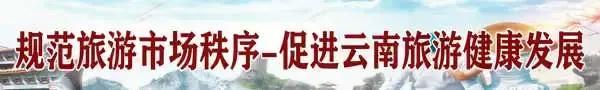 普洱将帮扶因疫情受影响的旅游、客运、住宿等企业度难过