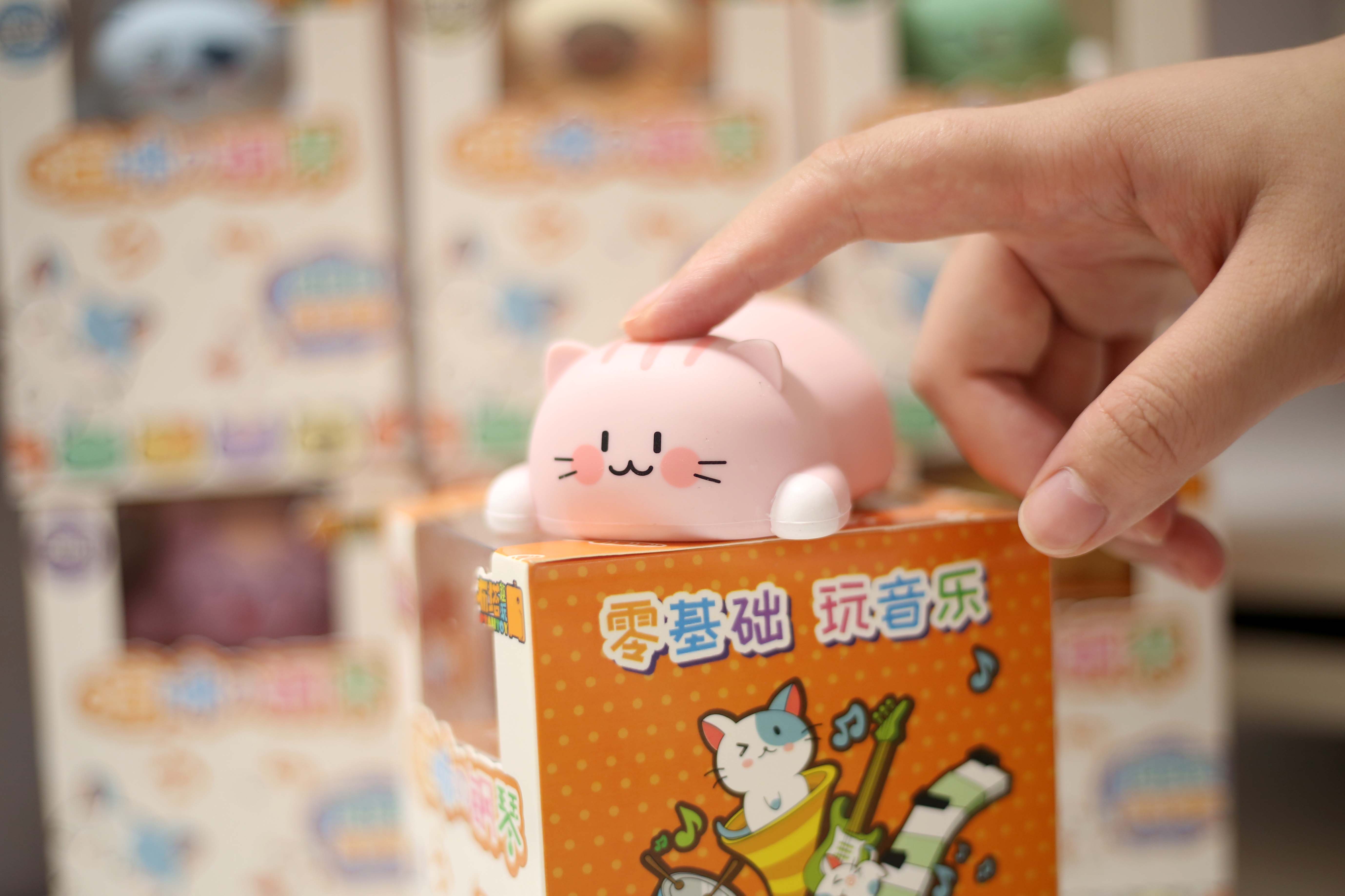 适合撸猫的猫咪,撸猫爱好者