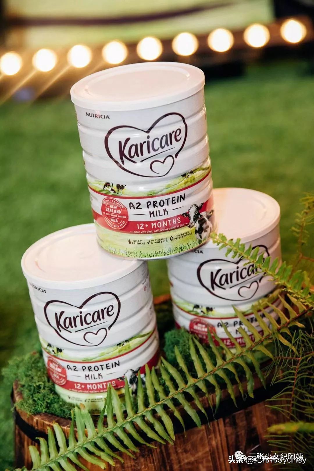 可瑞康奶粉澳洲价格,可瑞康代购奶粉澳洲