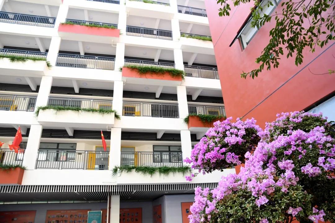 深圳新建九年一贯制学校,深圳新改建的重点小学