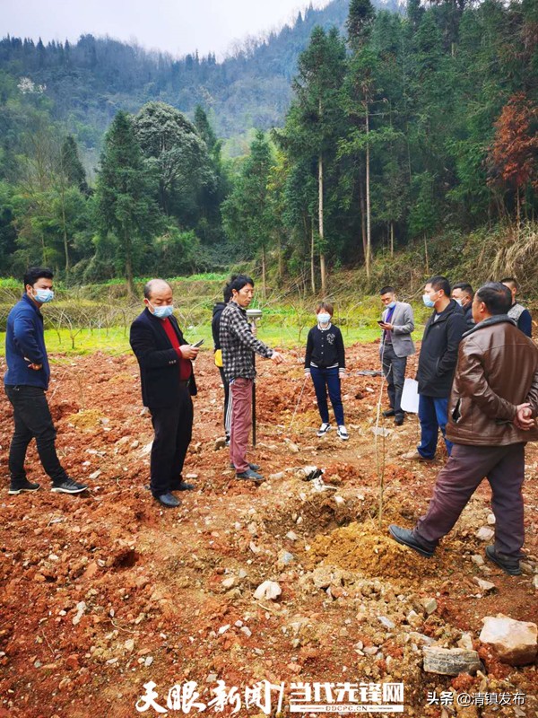 清镇市麦格乡：开启“春忙”模式