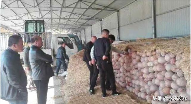 娑炴按绐栬棌,娑炴按鐨囧绐栬棌