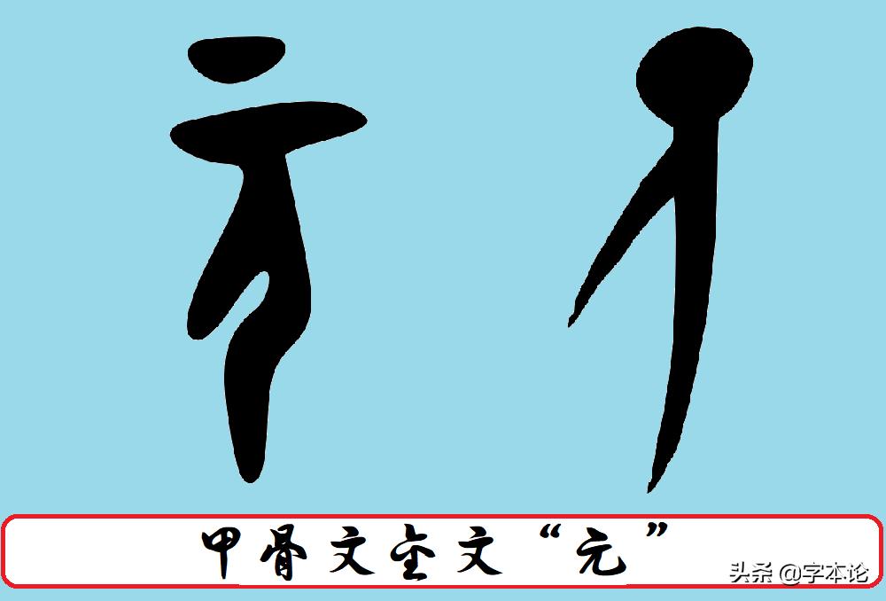 冠状病毒的解释,冠状病毒的由来感悟