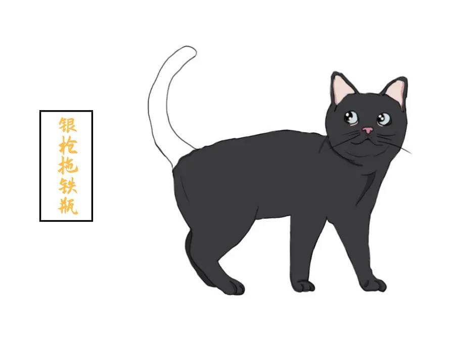 中华田园猫和狸花猫有什么区别,古代中华田园猫排行