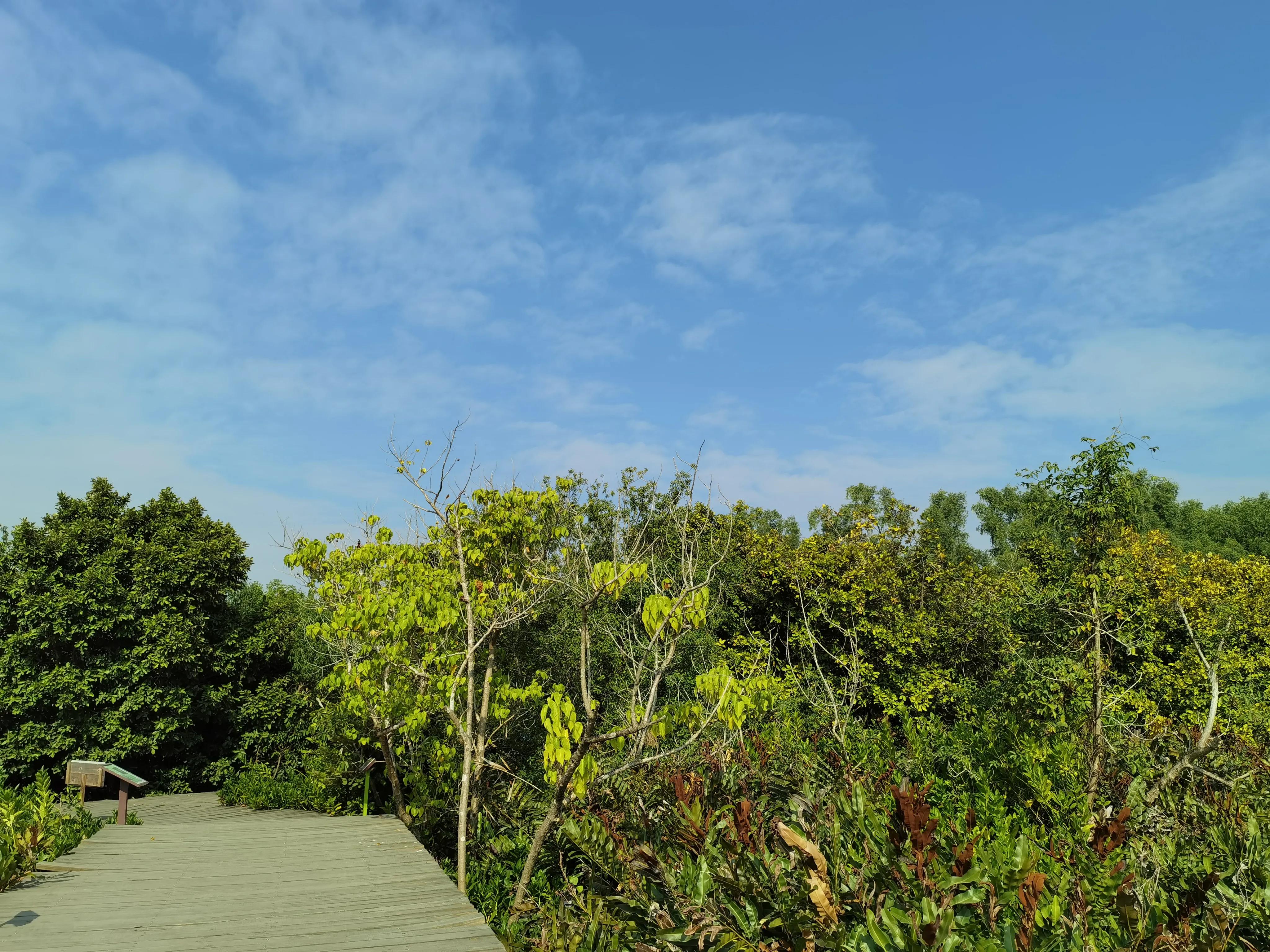 珠海淇澳岛红树林攻略,珠海桂山岛3天二夜的旅游攻略