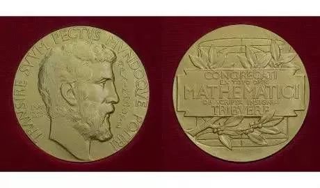 现代数学发展史简介,日本现代发展历程