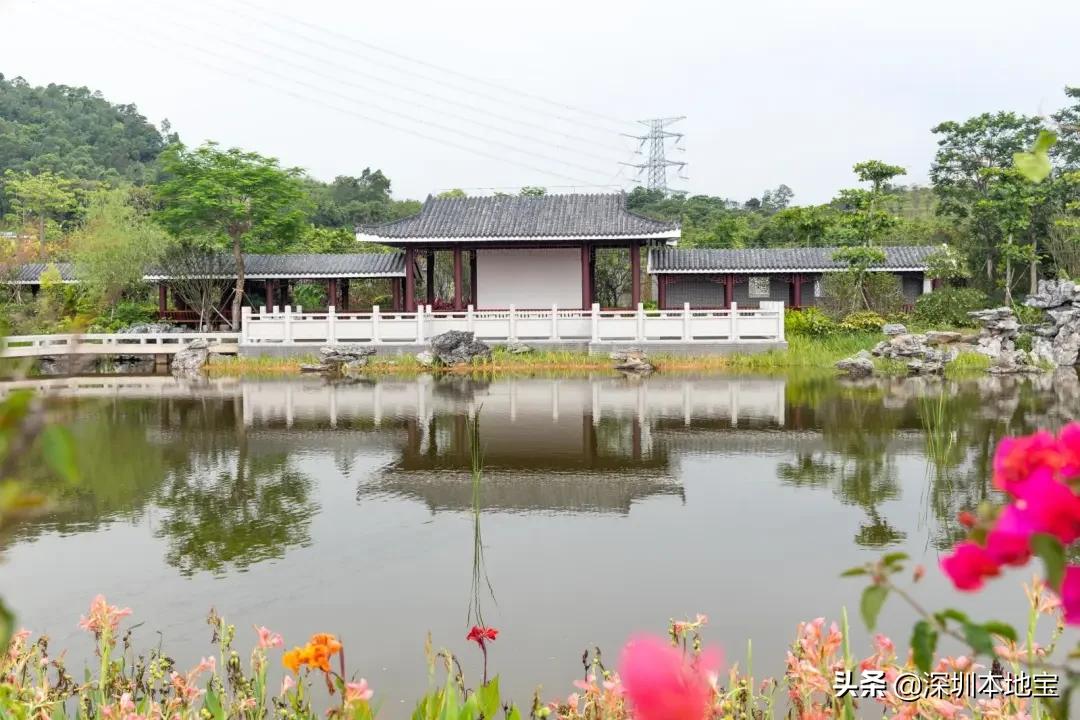 深圳完全免费的十大景点,深圳10大免费景点上集