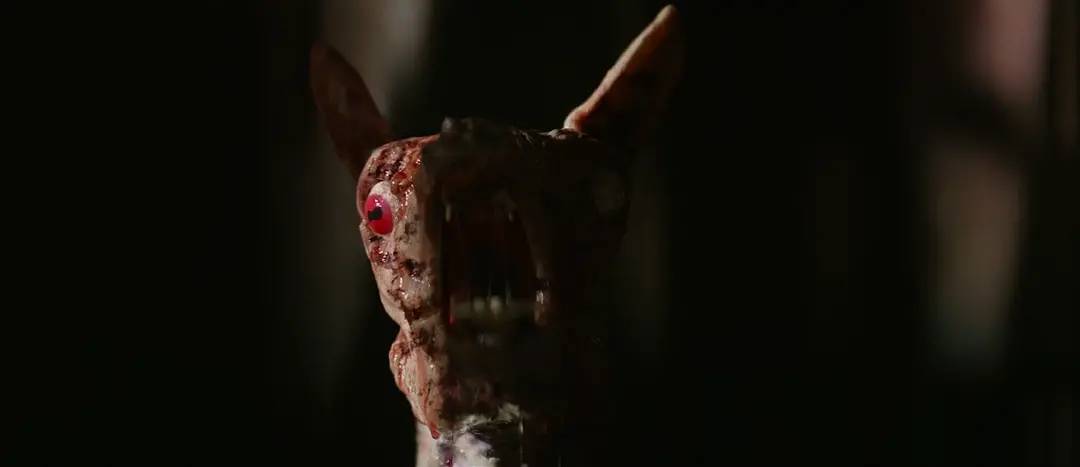 沉沦了10年，这3部B级恐怖片，或将是这位昔日影帝的出路