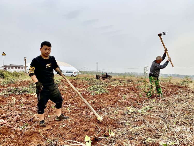 洛阳市宜阳凤凰岭射箭,宜阳县凤凰岭体育基地