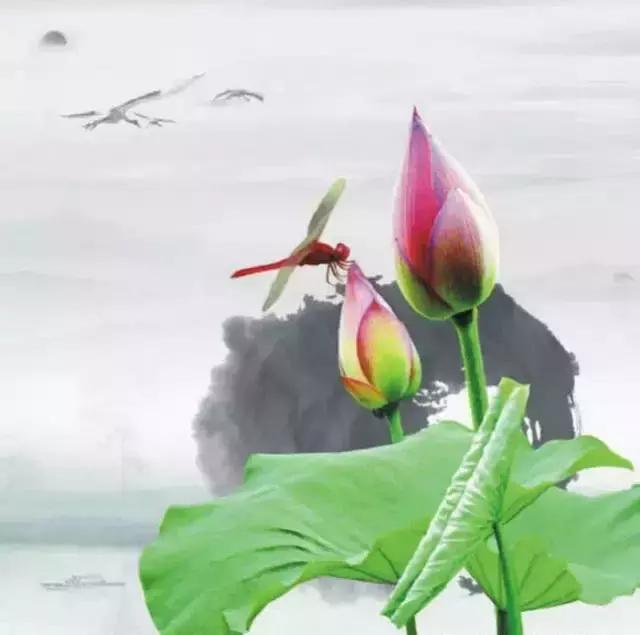 糊涂意思,糊涂啦什么意思