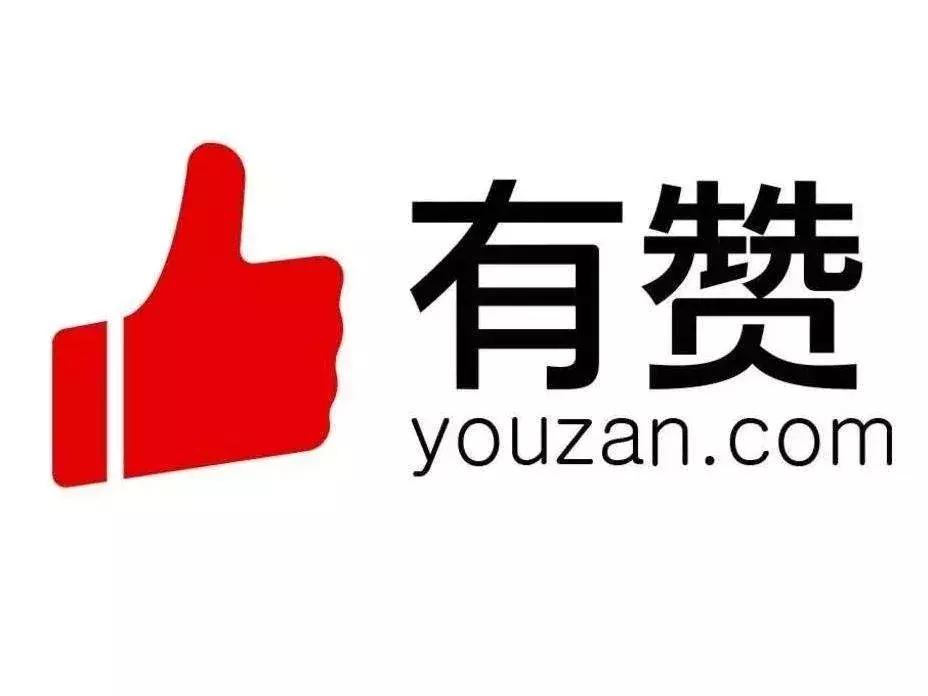 社交电商有赞商城经营模式 (有赞电商saas模式)