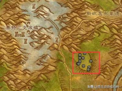 魔兽世界怀旧服法师单人练级攻略,怀旧服法师练级用冰法还是火法