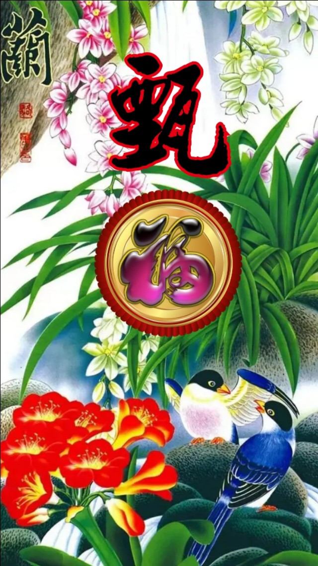 精美兰花壁纸图,兰花高贵壁纸