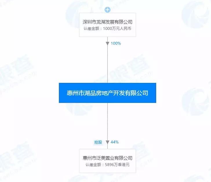 惠州龙湖地产项目,最新房企百强名单