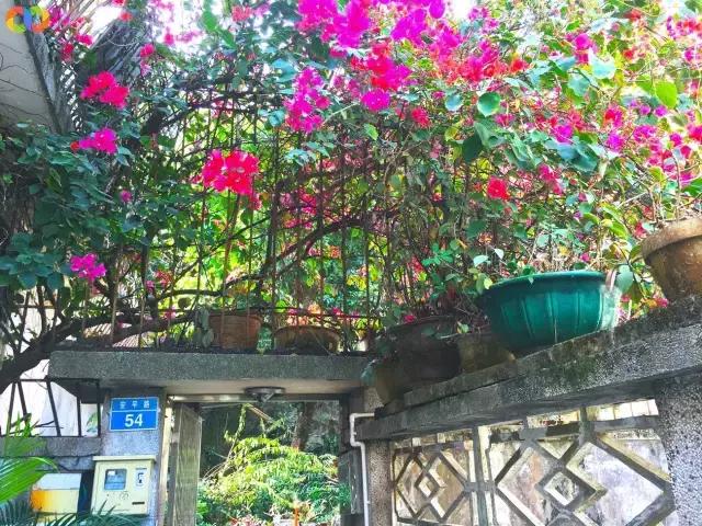 从平安路到桃园路的旧街，独属于老香洲的记忆