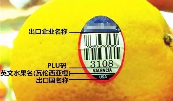 陕西红富士苹果如何挑选,陕西本地红富士苹果怎么样