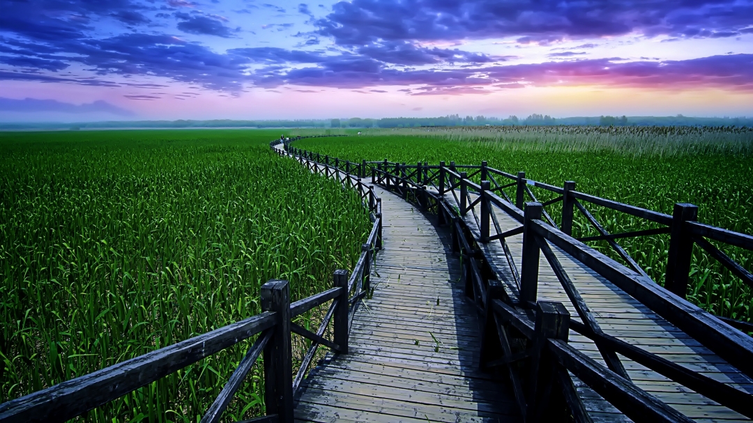上海城隍庙豫园全部风景,上海城隍庙附近好玩的景点推荐