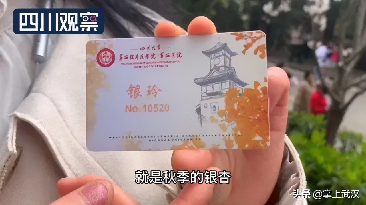 樱花感人瞬间,2020年武汉感动人瞬间