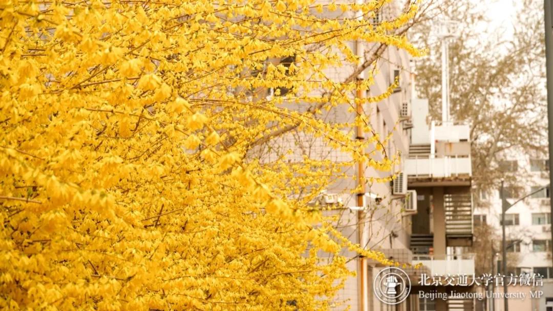 多少分可以上个好大学,多少分能上美校