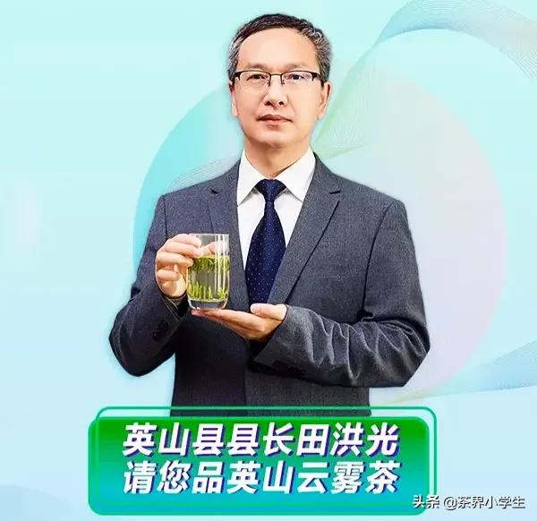 湖北茶叶加工业市场分析,茶叶产业发展情况的调查报告