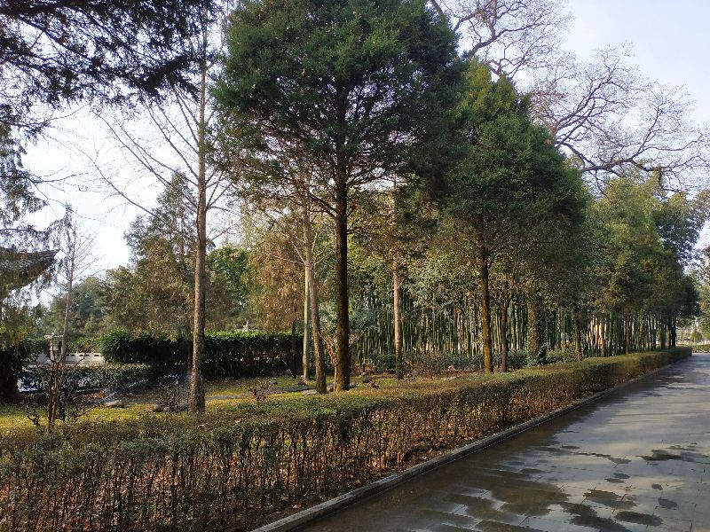 草堂寺塔,草堂寺的塔