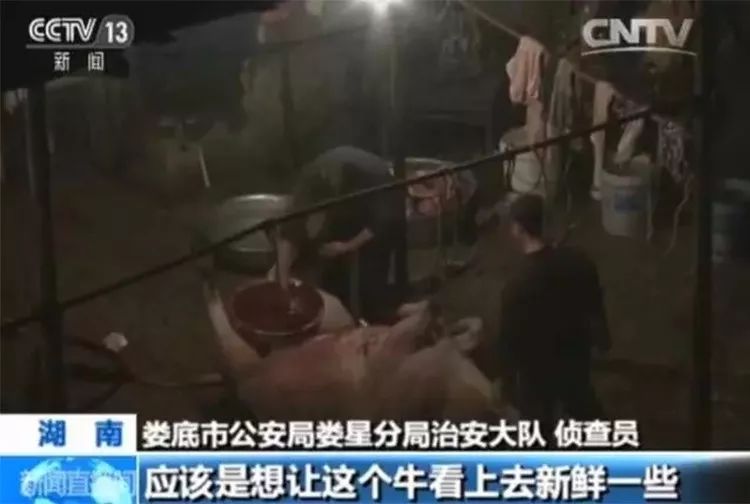 给活牛注水致死牛肉能吃吗,活牛注水后的牛肉